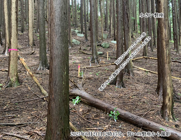 ��_�[�E�X���������E���������邽�߂�5�{�̔��Y�ƒ���̐ݒu