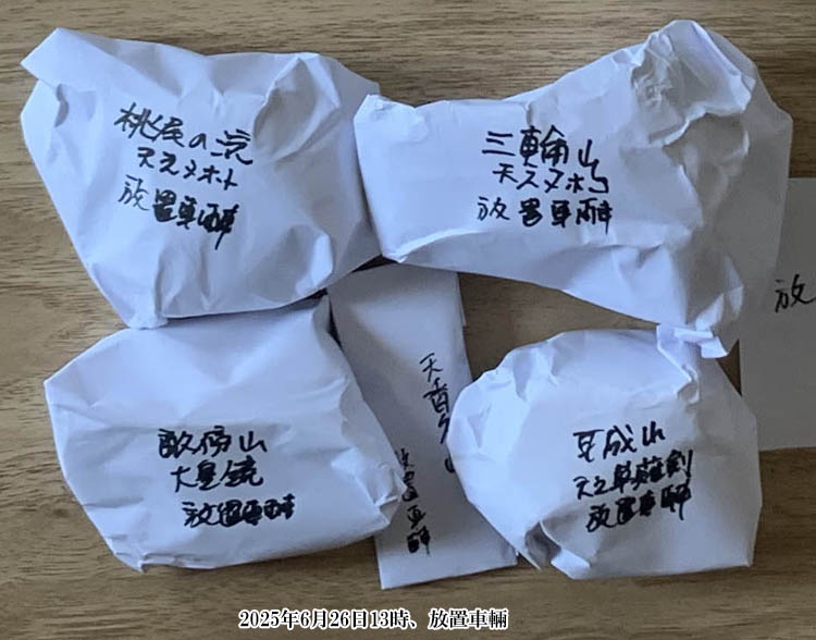 ���u���p�Ō�_��