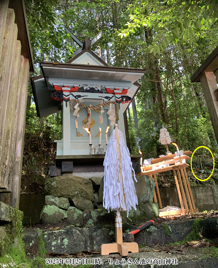 ��傤����r�̍��R�_��