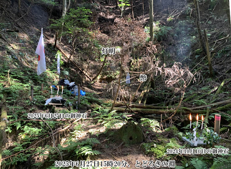 ��傤����r�́u�Ƃǂ낫�̕��v