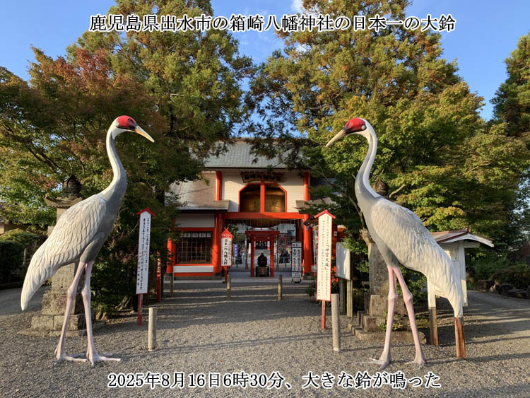 ���{��̑��