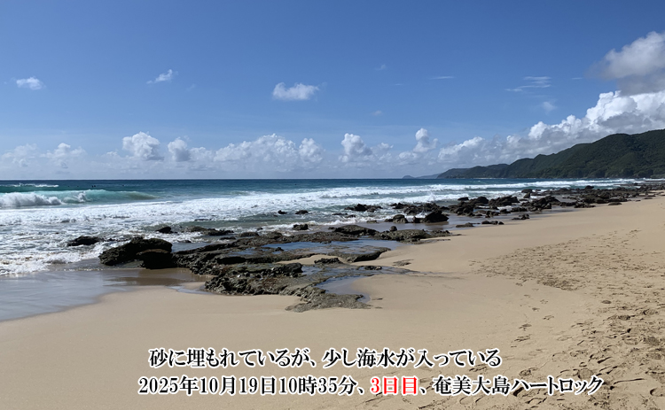 �����C���������Ă���