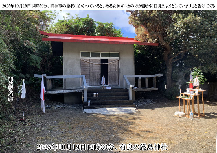 �L�ǂ̌����_��