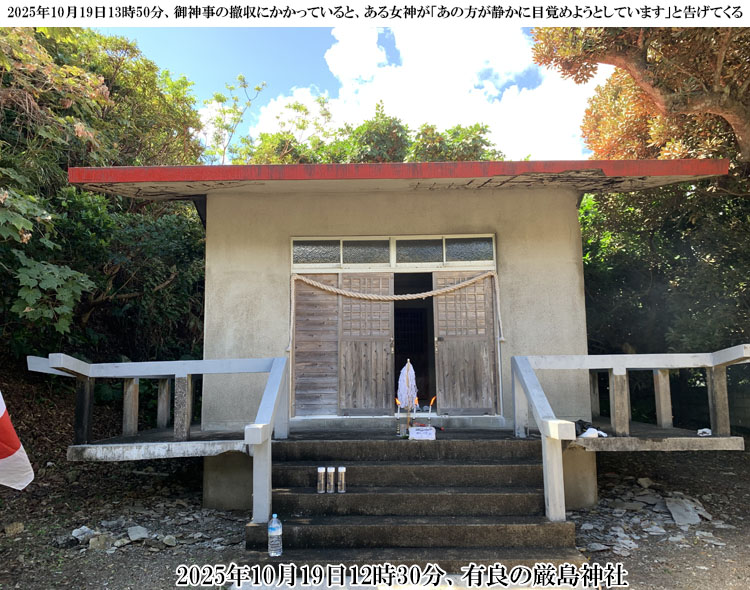 �L�ǂ̌����_��