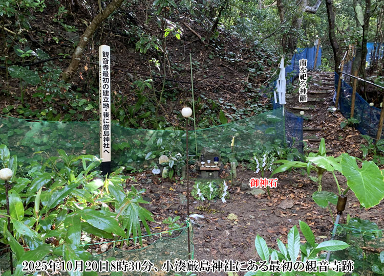 �ŏ��̊ω�����