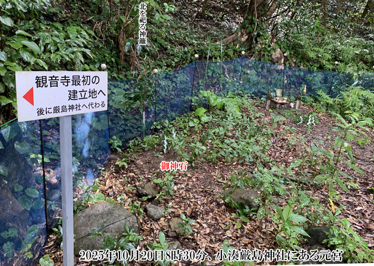 ���������_�Ђ̌��{�i���ω����j