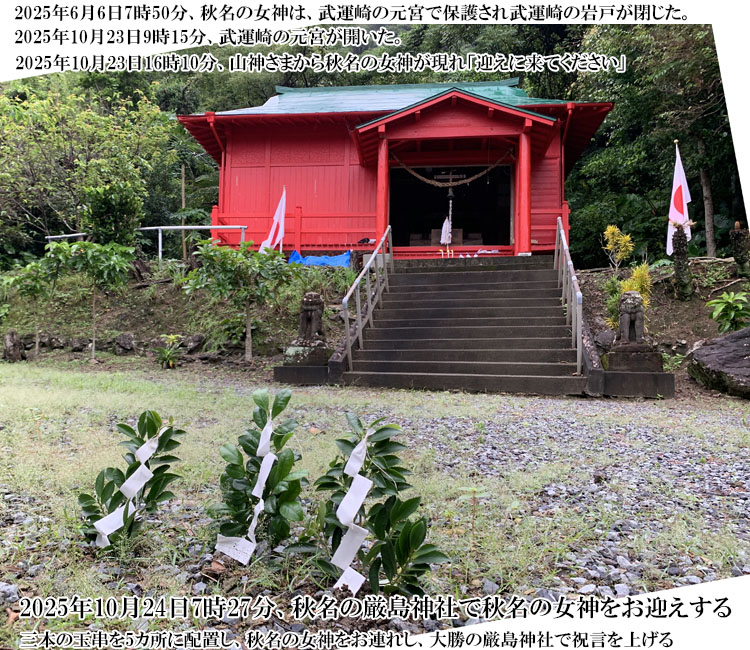 3�{�Z�b�g�̋ʋ���5�����ɔz�u����