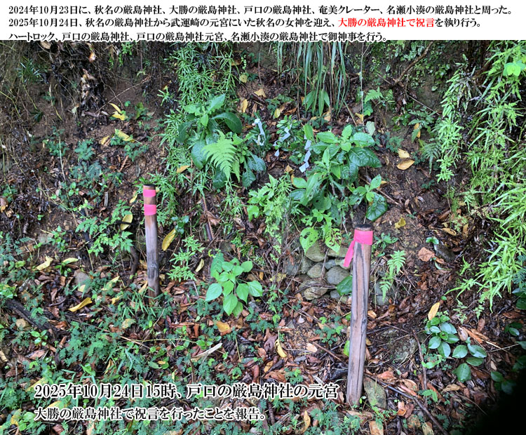 �ˌ��̌����_�Ќ��{