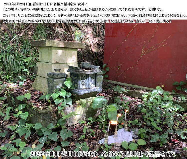 ���������_�Ђŏj��������s��