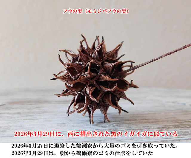 �C�K�C�K�ٕ̈�