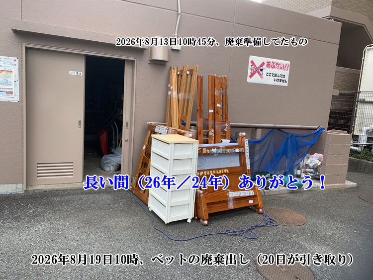 �x�b�g�̔p������