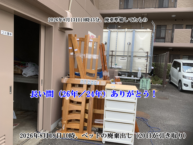 �x�b�g�̔p������