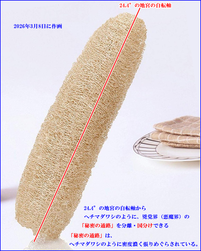 �n�{�̎��]���ɓZ�����Ă��鋢�}�E�i�����E�j